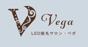 ヴェガ公式サイトの画像