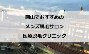 岡山市街地の夜景