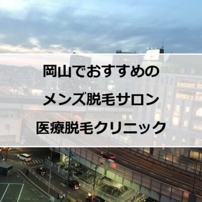 岡山市街地の夜景