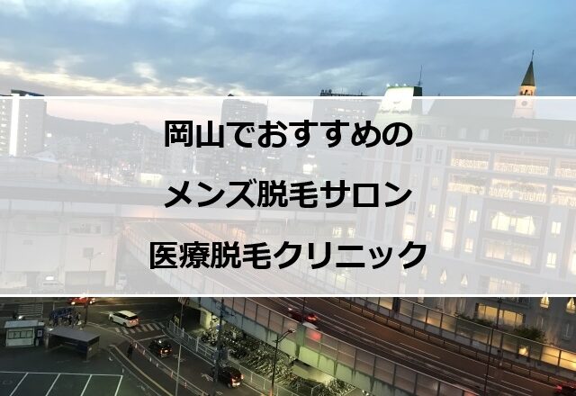 岡山市街地の夜景
