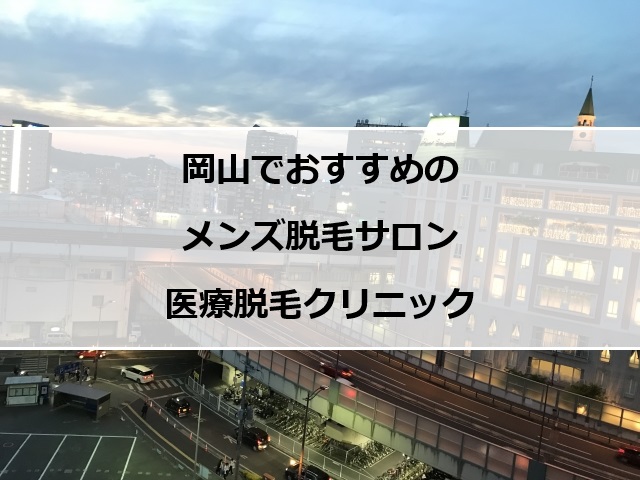 岡山市街地の夜景