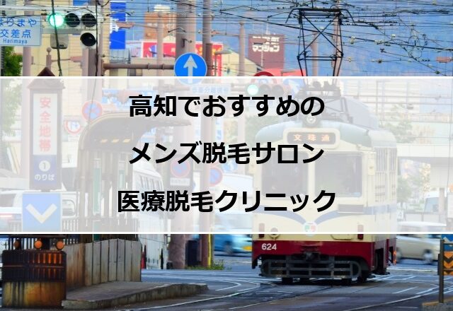 高知市街地の風景