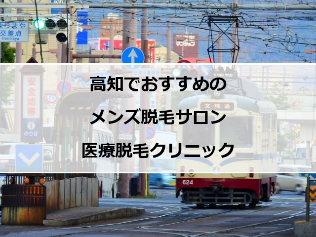 高知市街地の風景