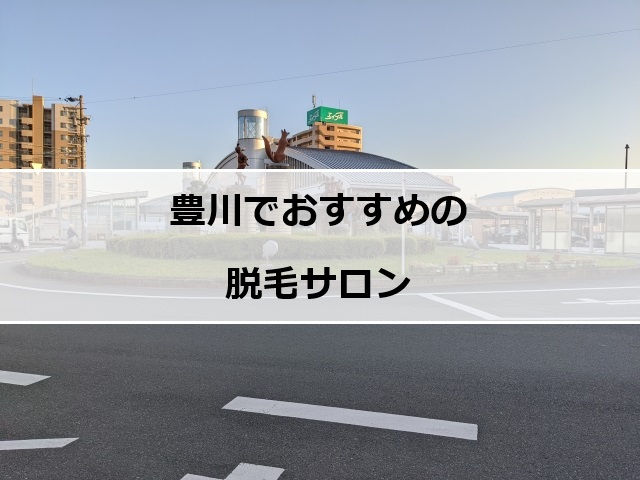 豊川の風景