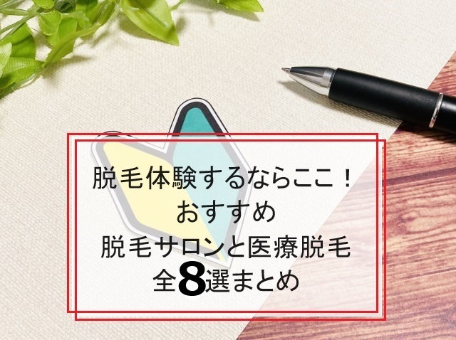 紙とペンと初心者マーク